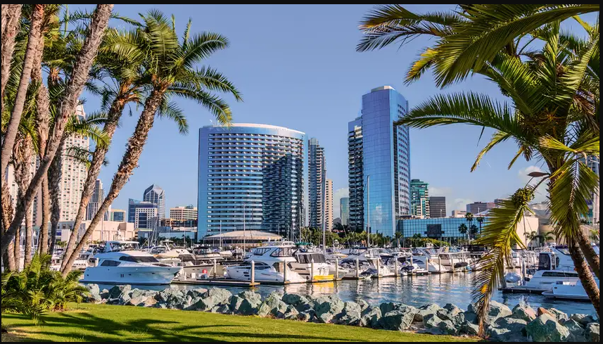 San Diego waterfront with a marina, downtown buildings and palm trees